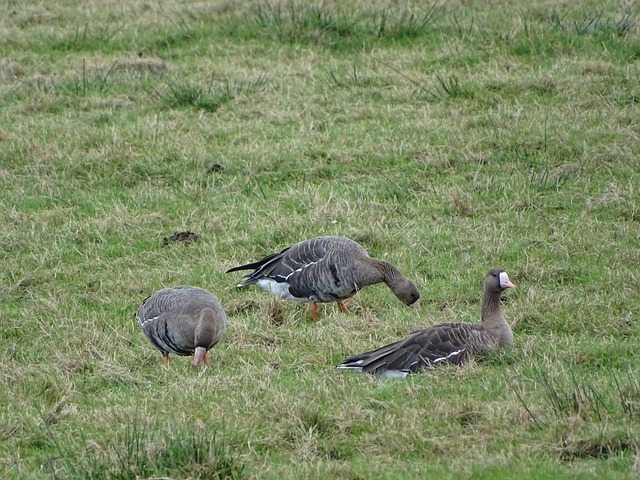 元标价的重 元标价的重