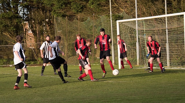 并提供一些 并提供一些