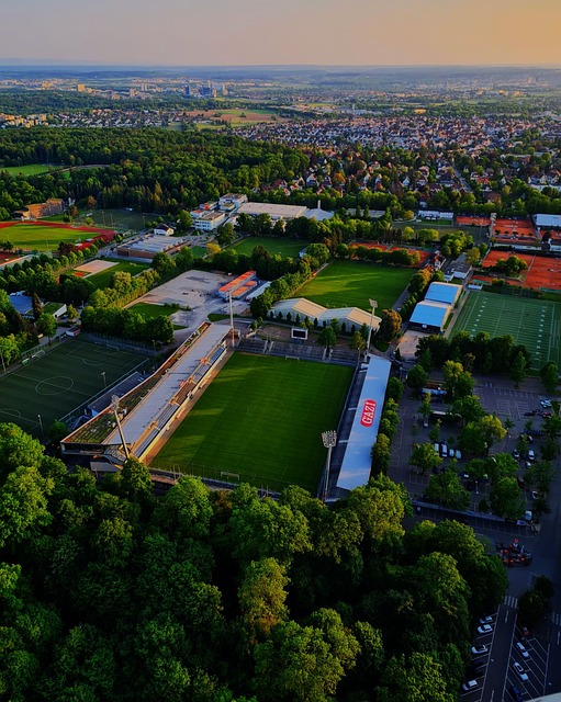 让学生不仅 让学生不仅