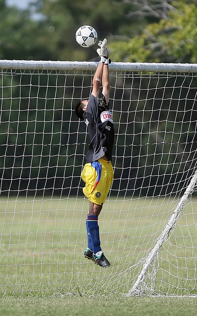 保了球员能 保了球员能