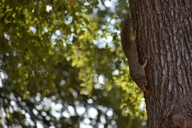 话题聚焦的 话题聚焦的