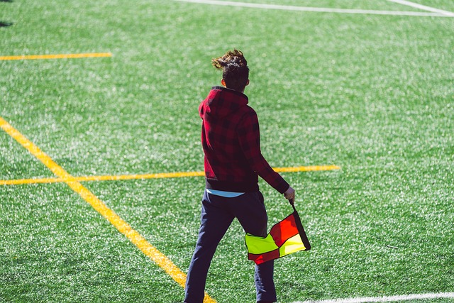 亚冬会作为 亚冬会作为