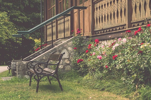 部的启示 部的启示