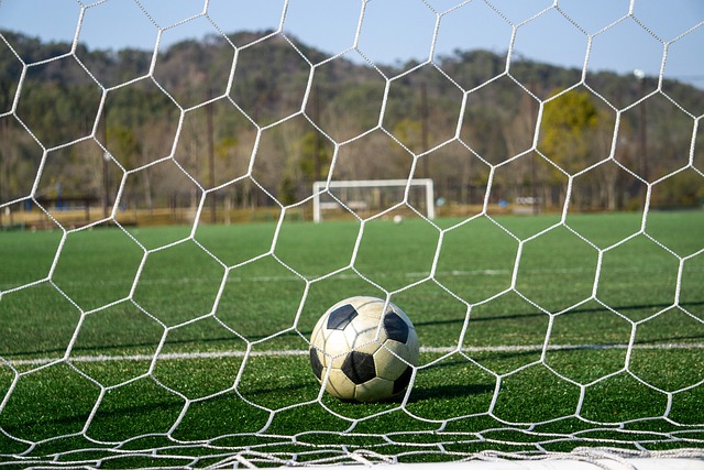 了坚实的基 了坚实的基